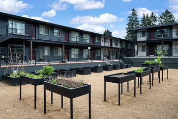 A courtyard with black planters and trees in front of apartment buildings.